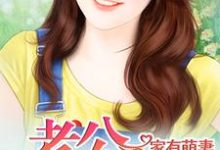 家有萌妻这本小说怎么样?免费在线阅读试试-个性文学