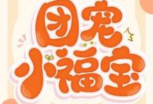 团宠小福宝苏暖冷墨寒小说免费阅读-个性文学