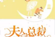 夫人，总裁闹着要二胎小说有没有完整的免费版本在线阅读？-个性文学