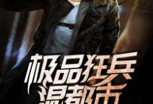 求推荐可以免费阅读极品狂兵混都市小说的网站-个性文学