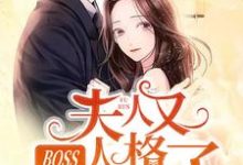 BOSS,夫人又人格分裂了免费阅读,BOSS,夫人又人格分裂了安凝夜盛霆远-个性文学