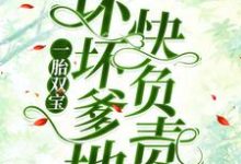 小说《一胎双宝:坏坏爹地快负责》在线章节阅读-个性文学