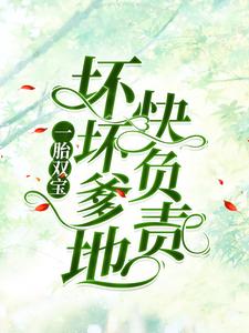 小说《一胎双宝：坏坏爹地快负责》章节免费阅读