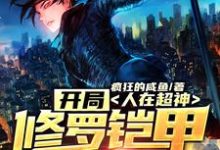 小说《人在超神：开局修罗铠甲穿梭万界》章节免费阅读-个性文学