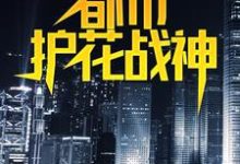 都市护花战神小说,都市护花战神叶真林清音-个性文学