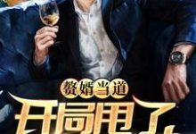 《赘婿当道：开局甩了女神娇妻》小说大结局免费试读 叶辰杨紫曦小说-个性文学