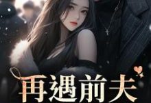 再遇前夫，撩拨入骨小说完结版章节免费阅读-个性文学