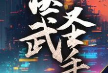 叶拂衣唐筇藜的小说在哪里看？免费在线阅读医武圣手-个性文学