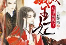 免费阅读魏安歌炎熠痕为主角的小说，摄政王妃马甲被扒了在线看-个性文学