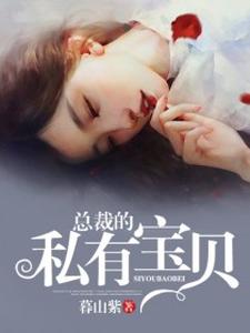 总裁的私有宝贝小说，总裁的私有宝贝在线阅读