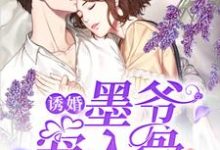 诱婚,墨爷宠入骨这本小说怎么样?免费在线阅读试试-个性文学