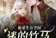 她重生有空间，迷的竹马魂颠倒这本小说怎么样？免费在线阅读试试-个性文学