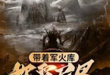 带着军火库称霸异界小说无弹窗阅读的网站推荐-个性文学