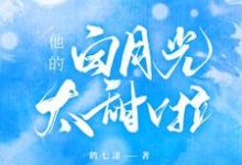 主角时晚段泽轩小说完结版在线阅读,他的白月光太甜啦免费看-个性文学