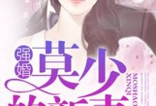 主人公沈南乔莫北丞小说强婚:莫少的新妻在线章节阅读-个性文学