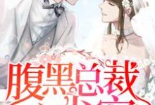 顾卿歌陆长霆的故事在哪本书里?免费阅读腹黑总裁心尖宠-个性文学