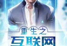 免费在线阅读重生之互联网大佬小说的正规网站有哪些？-个性文学