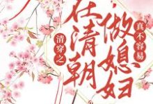 清穿之在清朝做媳妇真不容易小说全文阅读需要付费吗?寻找免费资源-个性文学