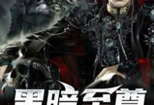 黑暗至尊小说，黑暗至尊章节在线阅读-个性文学