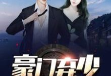 在线寻找苏晨孙小檀的小说,豪门弃少免费阅读-个性文学