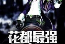 花都最强王者小说，花都最强王者在线阅读-个性文学