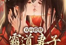 寻找能够免费阅读双向救赎:霸道妻子柔弱相公小说的平台-个性文学