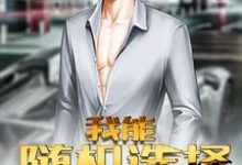 《我能随机选择》小说大结局免费试读 刘彬白柳小说-个性文学