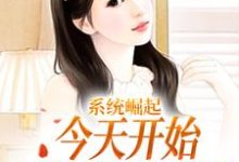 唐俊周小姐的小说在哪里看？免费在线阅读系统崛起：今天开始，香江我说了算-个性文学