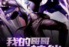 我的哥哥是神仙小说全文阅读需要付费吗?寻找免费资源-个性文学