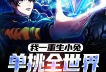 我一重生小兔，单挑全世界很合理吧黄天小说免费阅读-个性文学