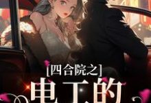 完结版《四合院之电工的幸福日子》在线免费阅读-个性文学