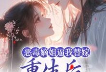 姜南枝沈彻的小说在哪里看？免费在线阅读恶毒嫡姐逼我替嫁，重生后我气疯她-个性文学