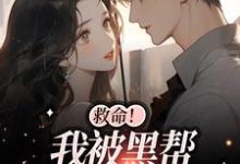 救命！我被黑帮大佬盯上了白诗如陆一璟在线章节免费阅读-个性文学