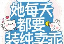 误惹权王后,她每天都要装纯卖乖小说的无弹窗阅读体验,寻找免费阅读网站-个性文学