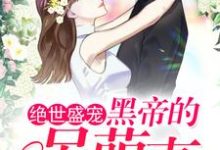 绝世盛宠:黑帝的呆萌妻安小暖夜溟爵,绝世盛宠:黑帝的呆萌妻章节在线阅读-个性文学