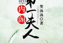 《内阁第一夫人》全集免费在线阅读(阮慕阳张安夷)-个性文学