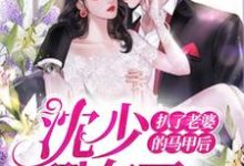 求扒了老婆的马甲后,沈少翻车了小说免费资源-个性文学