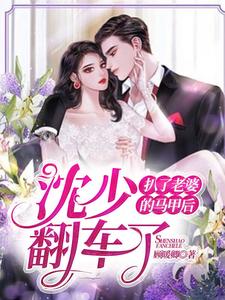 求扒了老婆的马甲后，沈少翻车了小说免费资源