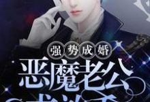 强势成婚：恶魔老公求放手小说的免费电子版在哪里可以下载或阅读？-个性文学