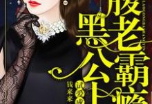 求叶轻歌陆靖北陆冉冉小说免费资源-个性文学