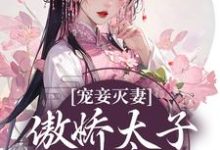 完结版《宠妾灭妻：傲娇太子放肆宠》章节阅读-个性文学
