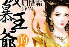 已完结小说《残暴王爷的小妾》在线章节阅读-个性文学