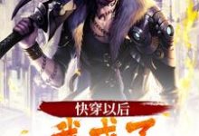 《快穿以后，我成了卧龙师弟》小说章节列表免费试读，曹操刘备小说在线阅读-个性文学