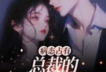 病态占有：总裁的私有宝贝小说的免费阅读版本在哪里可以找到？-个性文学