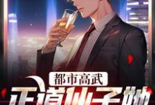 《都市高武:正道仙子她欠钱不还》小说章节在线试读,《都市高武:正道仙子她欠钱不还》最新章节目录-个性文学