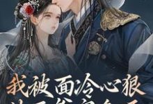 完结版《我被面冷心狠的王爷宠翻天》章节阅读-个性文学