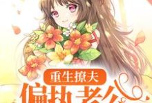 岑挽陆北恂是哪本书的主角?寻找重生撩夫:偏执老公心肝狂颤免费阅读-个性文学