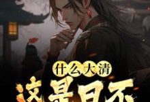 寻找能够免费阅读什么大清,这是日不落大明小说的平台-个性文学