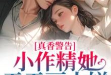 真香警告!小作精她天天画大饼小说完结了吗?在哪里可以免费读到?-个性文学