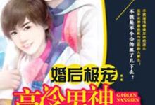 已完结小说《高冷男神萌萌爱》最新章节-个性文学